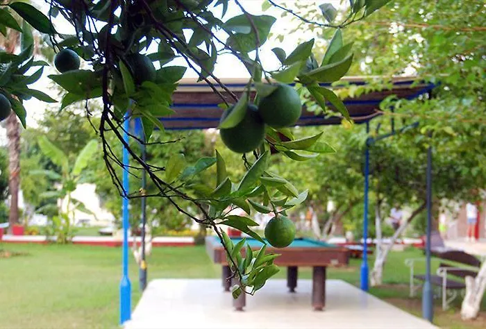 Tal Hotel
